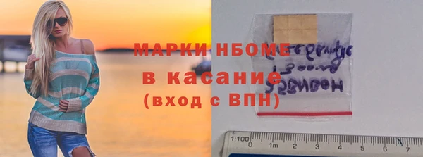 индика Покачи