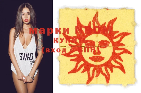 индика Покачи