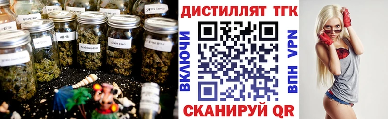 ТГК концентрат  где купить   Сертолово 