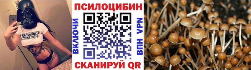 Галлюциногенные грибы GOLDEN TEACHER  где купить наркоту  Сертолово 