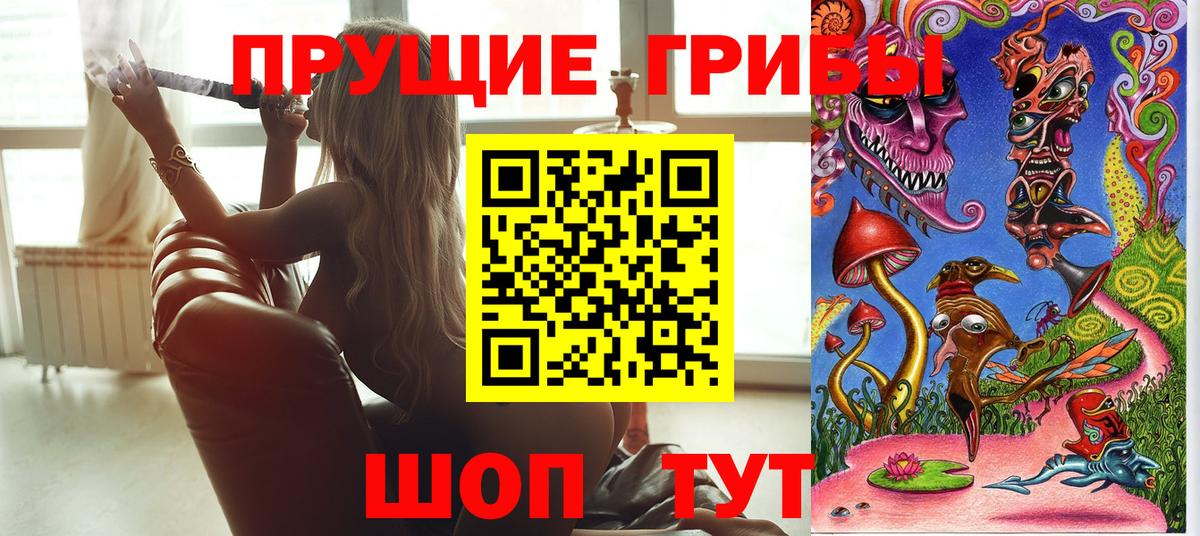 Псилоцибиновые грибы GOLDEN TEACHER  Псилоцибиновые грибы Psilocybine cubensis  закладки  Сертолово  Вход с VPN 